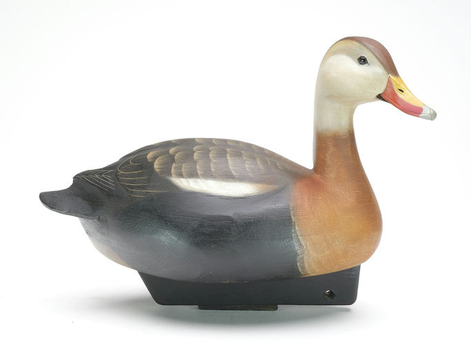 Jim Schmiedlin – Black Bellied Tree Duck – 2023