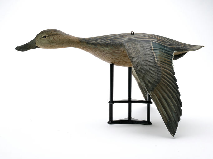 Mike Borrett — Pintail