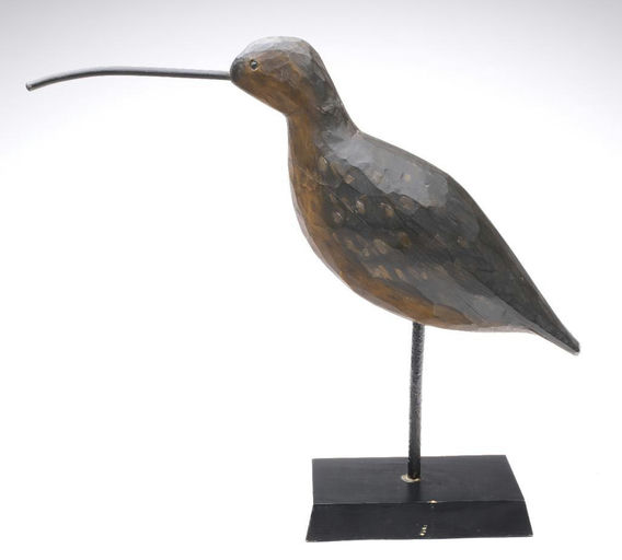 Pete Peterson – Curlew – 2024