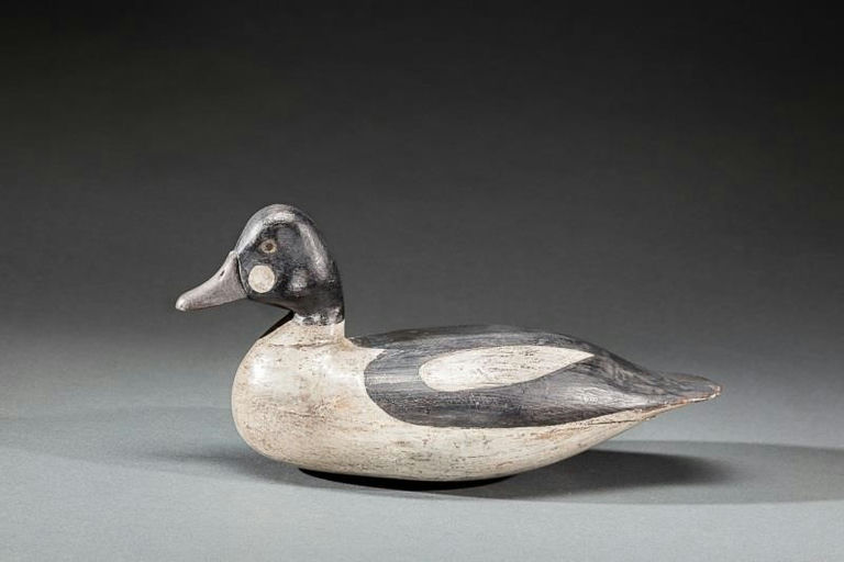 Harry V. Shourds – Goldeneye Drake – 2015