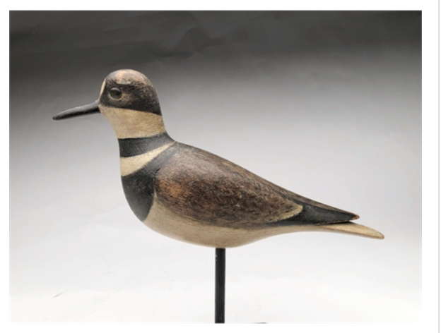 Mark McNair – Killdeer – 2021