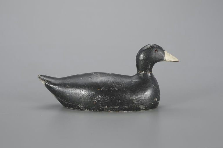 Evans Decoy Company – Coot – 2023