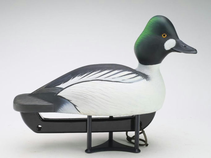 Tom Matus – Goldeneye – 2024