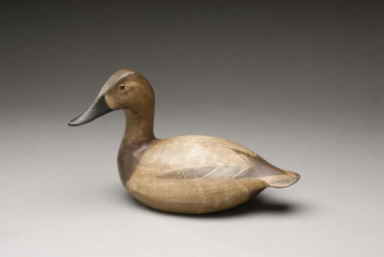 L. Torry Ward – Canvasback Hen – 2009