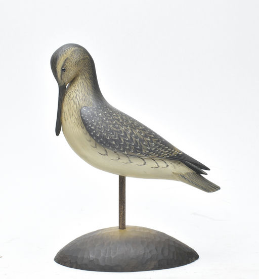 George Strunk – Preening Yellowlegs – 2025