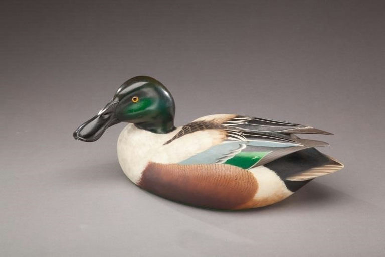 William Schultz – Shoveler Drake – 2012