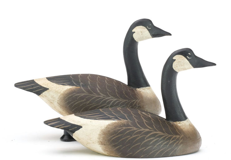 Oliver Lawson – Pair of Geese – 2024