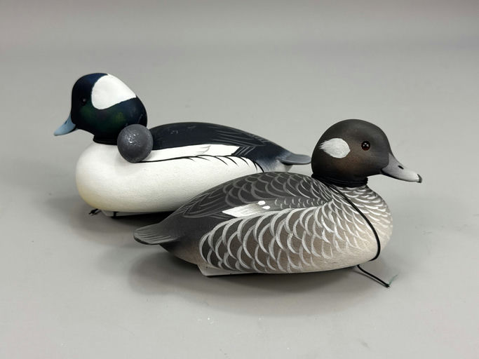 Oliver Lawson – Bufflehead – 2026