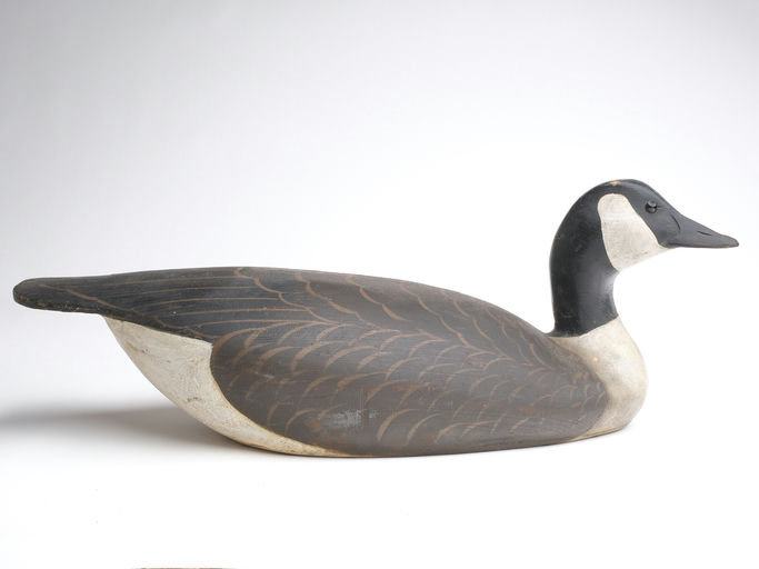 Ward Brothers – Canada goose – 2023
