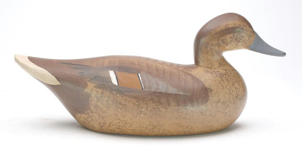 R. Madison Mitchell – Pintail Hen – 2023