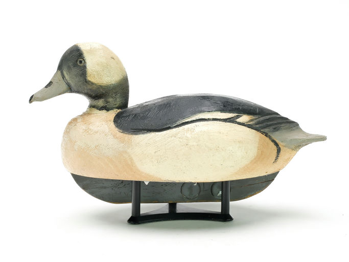 Ben Schmidt – Bufflehead – 2025