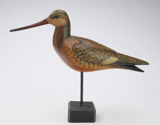 Bill Gibian – Godwit – 2024