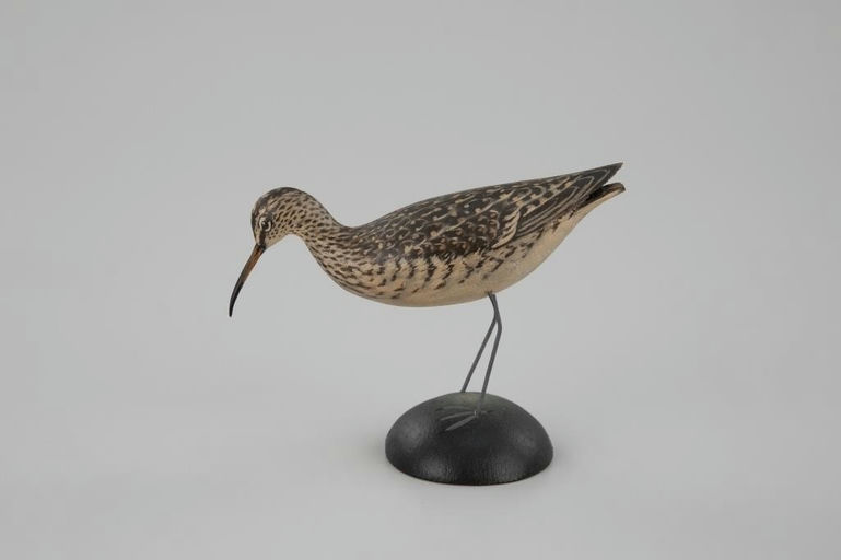 Elmer Crowell – Miniature Curlew – 2026
