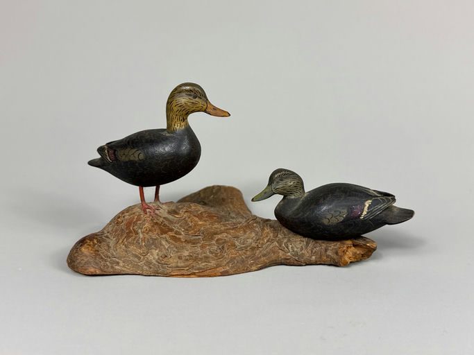 General Chester DeGavre – Black duck – 2026