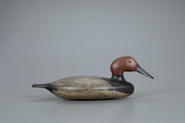Harvey Stevens – Canvasback Drake – 2020