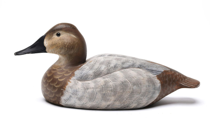 Randy Tull — Canvasback