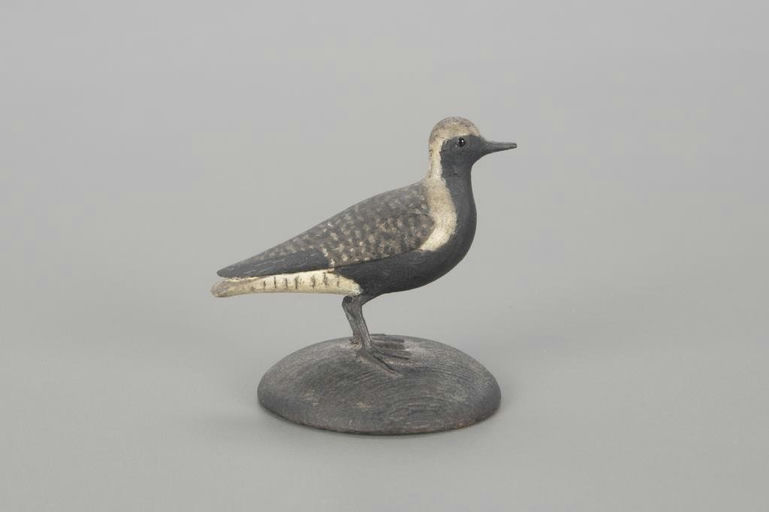 Tom Wilson – Miniature Black Bellied Plover – 2022