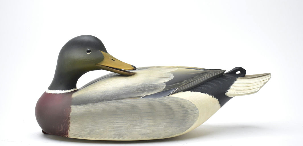 George Strunk – Preening Mallard – 2025