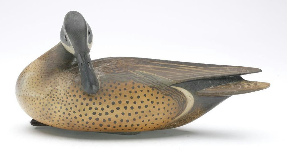 Bill Gibian – Blue-winged Teal – 2023
