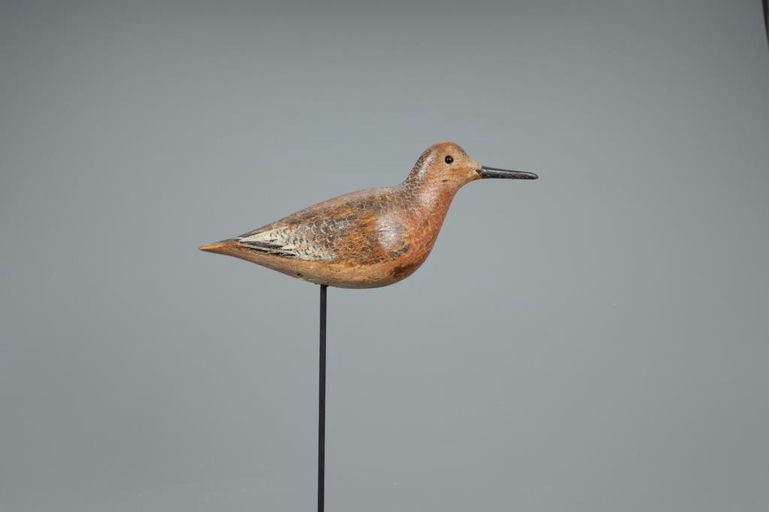 John Dilley – Dowitcher – 2020