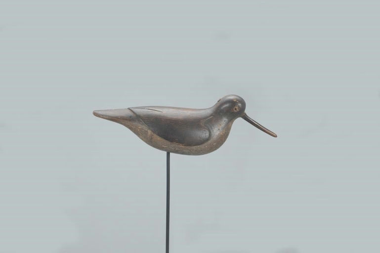 Verity Family – Rare Hudsonian Godwit – 2022
