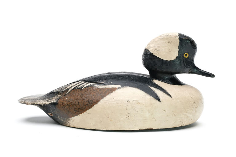 Ken Anger — Hooded Merganser
