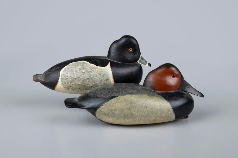 John Holloway – Canvasback and Ring-necked Duck – 2026