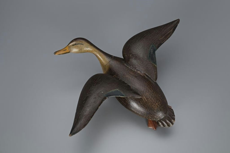 Ira Hudson – Rare Flying Black Duck – 2019