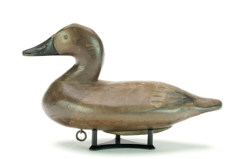 Henry Lockard – Canvasback – 2025
