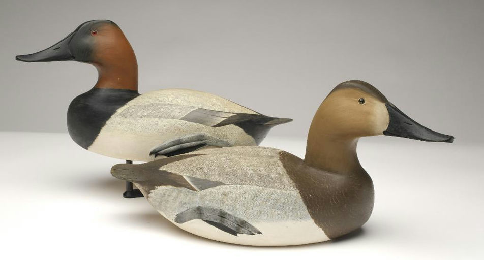 Corb Reed – Canvasback – 2023