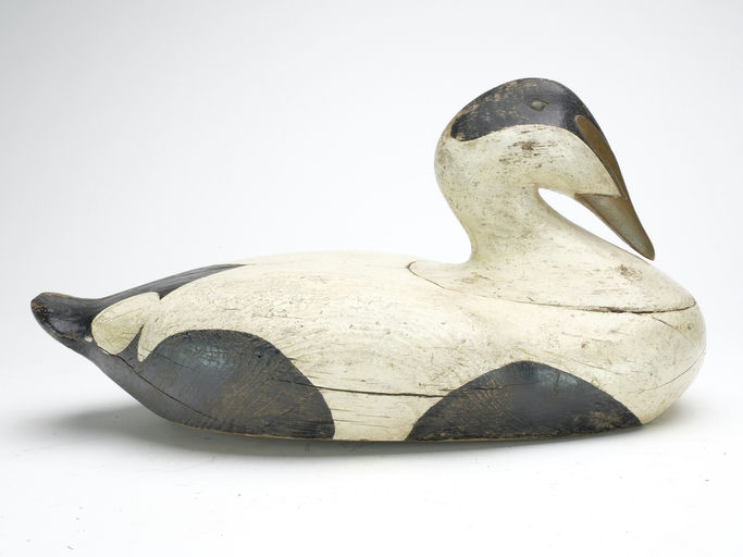 Gus Wilson – Eider – 2023