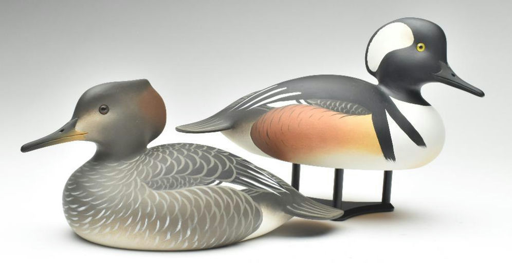 Oliver Lawson – Pair of Hooded Merganser – 2023