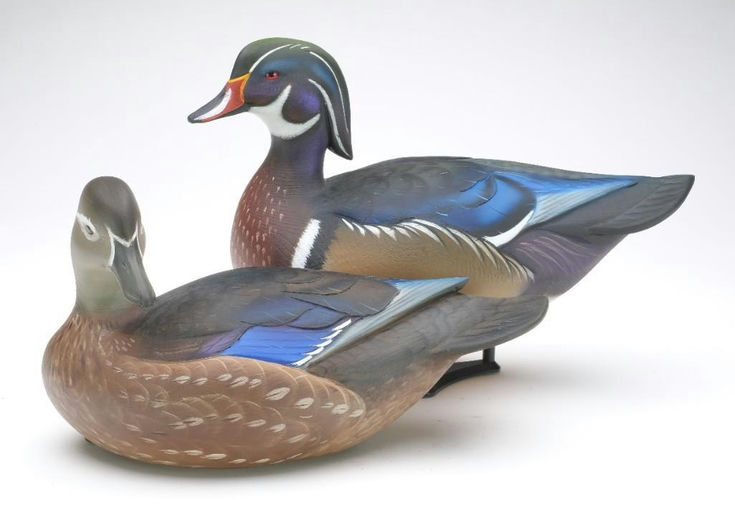 Sean Sutton – Pair of Wood Duck – 2023