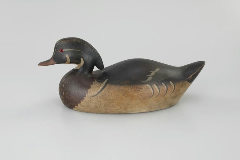 Cameron McIntyre – "Premier" Wood Duck – 2026