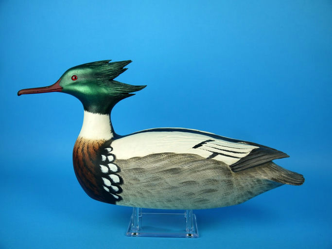 John Kouchinsky – Red-Breasted Merganser Drake – 2026
