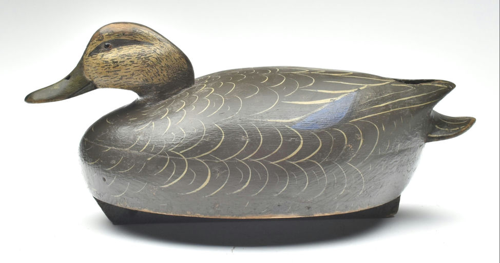 John McLoughlin – Black Duck – 2023