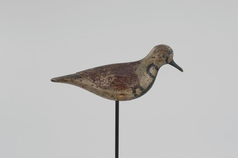 Verity Family – Ruddy Turnstone – 2026