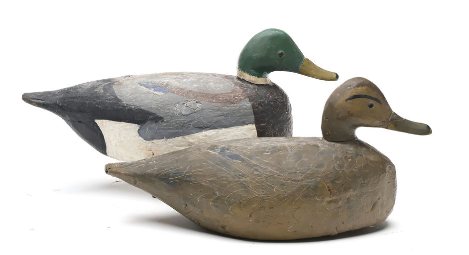 Miles Hancock – Mallard – 2025