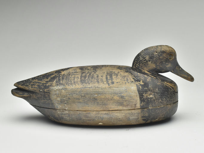 Nathan Cobb, Jr. – Scaup – 2023