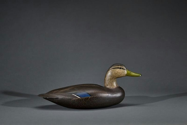 Corb Reed – Black Duck – 2017