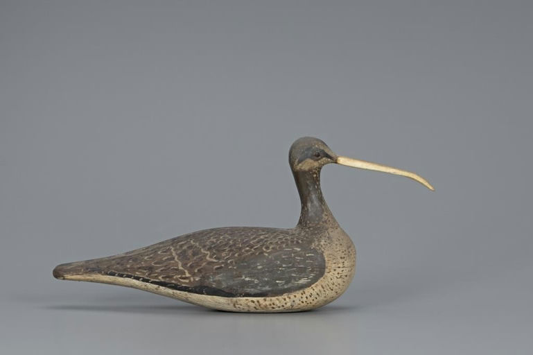 Eugene "Chief" Cuffee – "Sickle Bill" Curlew – 2019