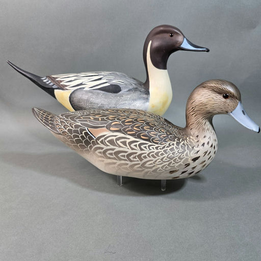 Scott Cronshaw – Pintail – 2026