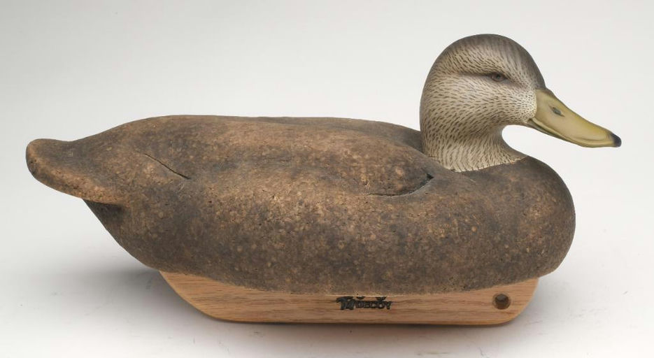 Tom Matus – Cork Black Duck – 2023