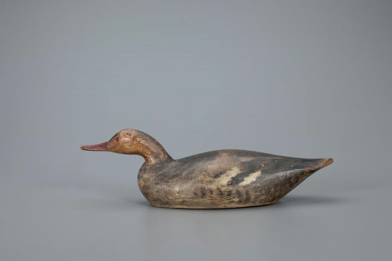Elmer Crowell – Swimming Merganser Hen – 2020