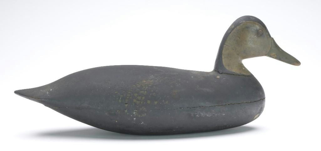 Harry V. Shourds – Black Duck – 2023