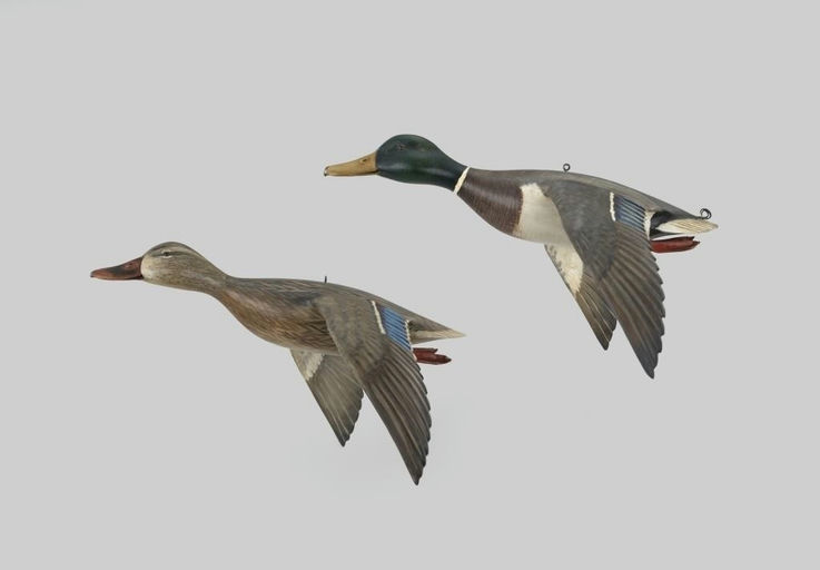 Mike Borrett – Flying Mallard Pair – 2026