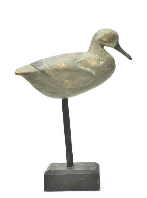 Reggie Birch – Sanderling – 2025