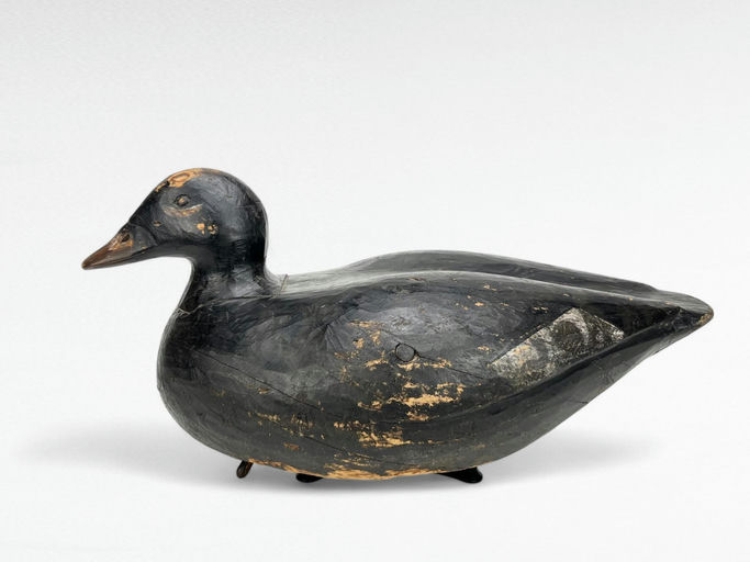 Gus Wilson – Hollow White Wing Scoter – 2024