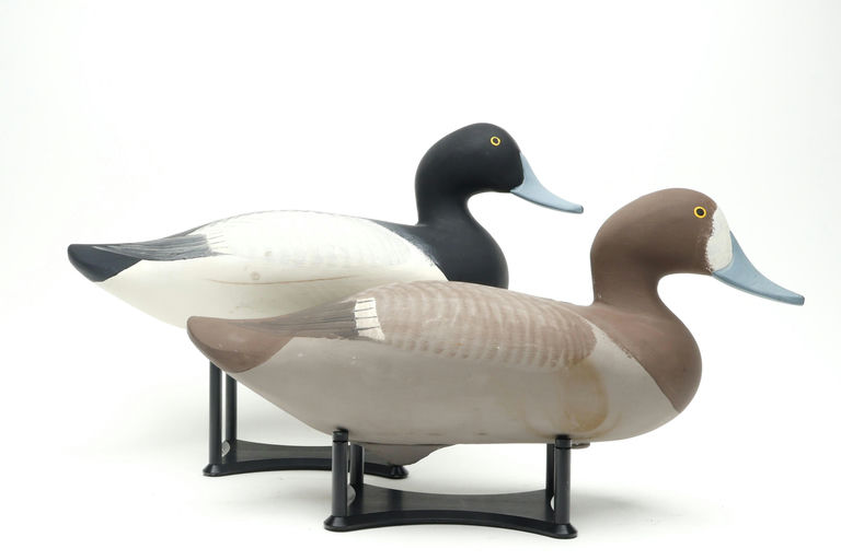 R. Madison Mitchell – Pair of Bluebills – 2026