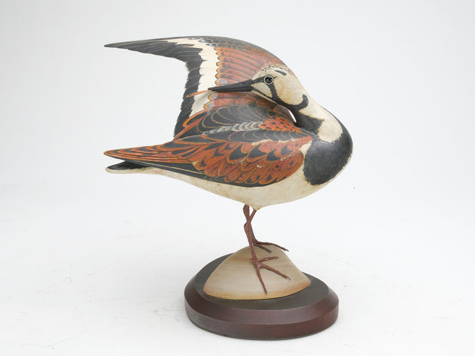 Bill Gibian – Ruddy Turnstone – 2023